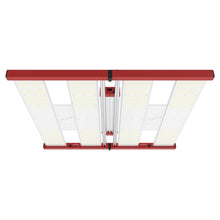 Load image into Gallery viewer, Tarantula Vulcan Magma