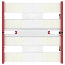 Load image into Gallery viewer, Tarantula Vulcan Magma