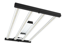 Load image into Gallery viewer, Tarantula Torch 320