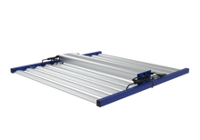 Load image into Gallery viewer, Tarantula Borg Evolution