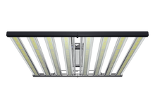 Load image into Gallery viewer, Tarantula Long Leg