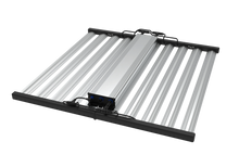 Load image into Gallery viewer, Tarantula Borg