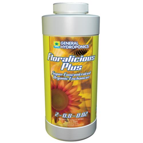 GH Floralicious Plus Pint (12/Cs)