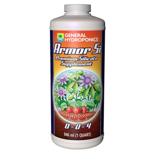 GH Armor Si Quart (12/C