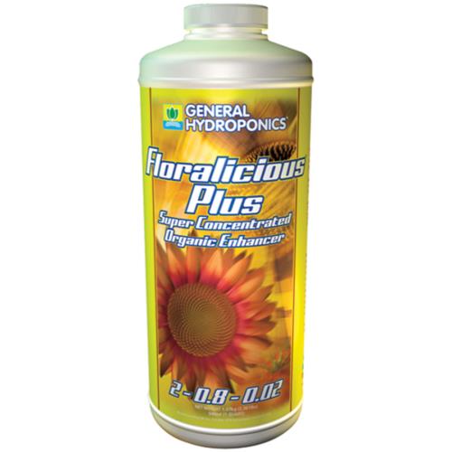 GH Floralicious Plus Quart (12/Cs)