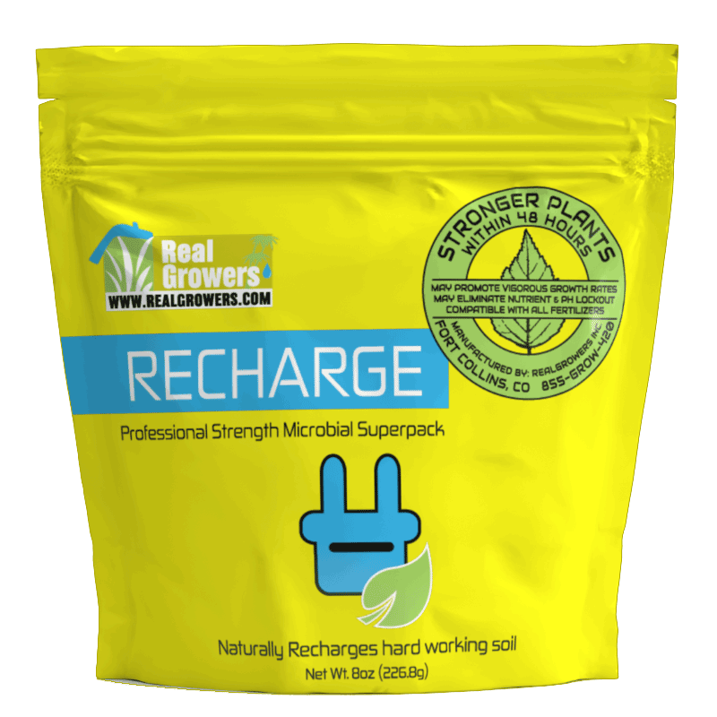 Real Growers Recharge 8oz Bag