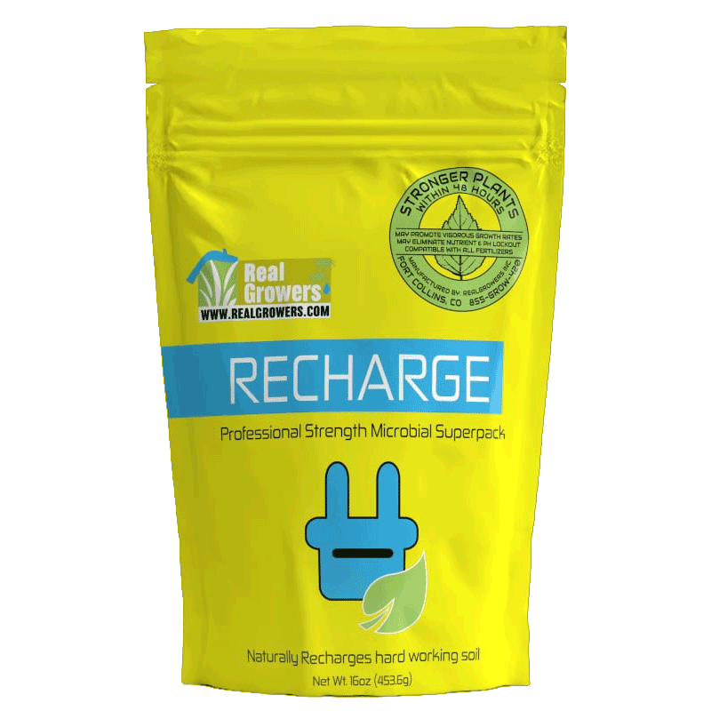 Real Growers Recharge 16oz Bag